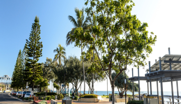11 Photo 014 bargara.jpg